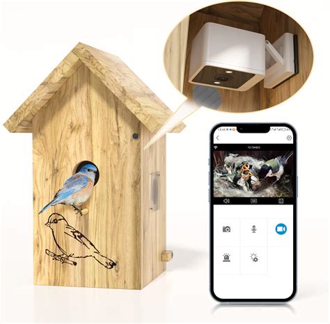 Amazon.com: Birdhouse Camera, Birdhouse with 1080P HD Camera Wireless ...