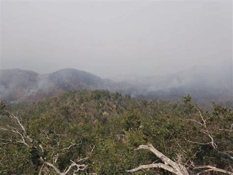 Suspenden Clases En Acapulco Y Chilpancingo Por Humo De Incendios