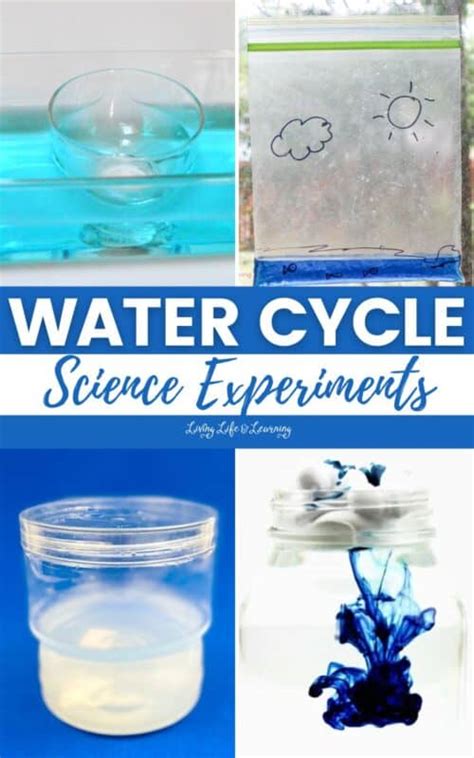 Water Cycle Science Experiments