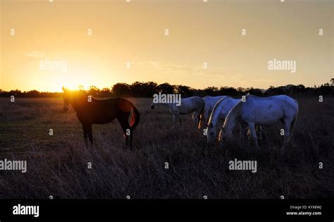 AUSTRALIAN OUTBACK SUNSET Stock Photo - Alamy