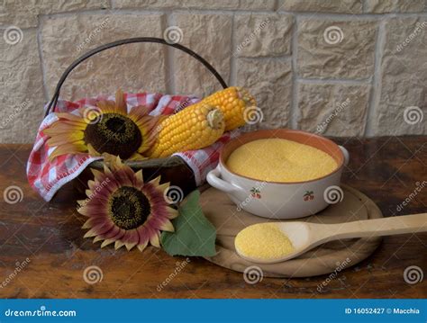 Corn and sunflowers stock image. Image of cook, food - 16052427