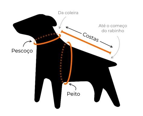 Como medir o cachorro Veja como saber o tamanho do seu cão