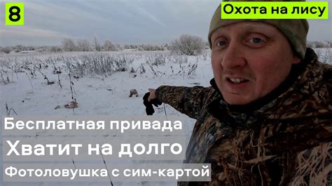 БЕСПЛАТНАЯ привада. Охота на лису. Хватит на долго. Фотоловушка с сим ...
