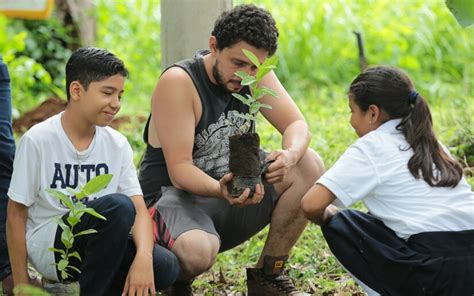 Todo listo para la segunda etapa de la Campaña de Reforestación Verde