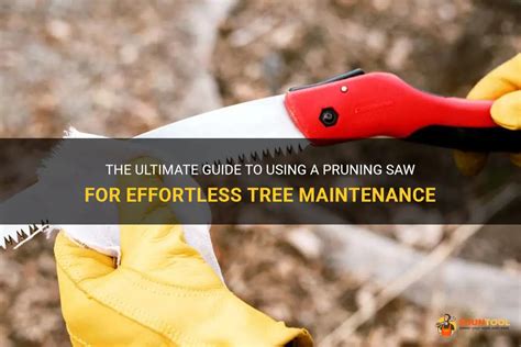 The Ultimate Guide To Using A Pruning Saw For Effortless Tree