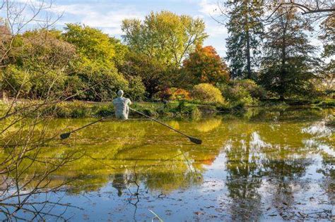 October Old Westbury New York United States Rower Seen