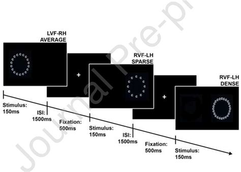 Figure From Sex Hormones Modulate Sex Differences And Relate To Hemispheric Asymmetries In A