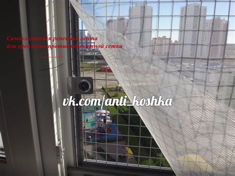Сетка антикошка на пластиковые окна: что это такое (фото), плюсы и ...
