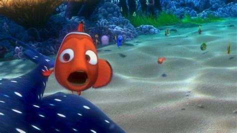 Finding Nemo Finding Nemo Image 3570012 Fanpop