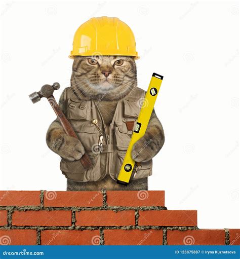Cat builder 4 stock image. Image of brick, tool, yellow - 123875887