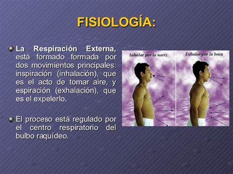 Signos Vitales Respiración Y Presión Arterial