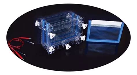 Tanque De Electroforesis De Instrumento De Electroforesis Meses Sin