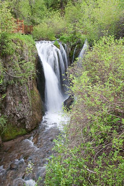 Black Hills Fall Stock Photos Pictures And Royalty Free Images Istock