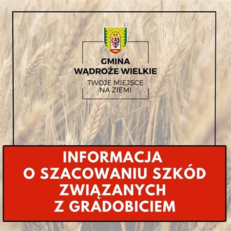 Informacja O Szacowaniu Szk D Zwi Zanych Z Gradobiciem W Dro E