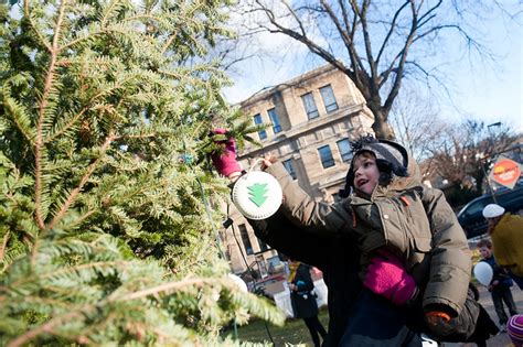 Holiday Tree Lightings In Boston Jeremiah Robinson