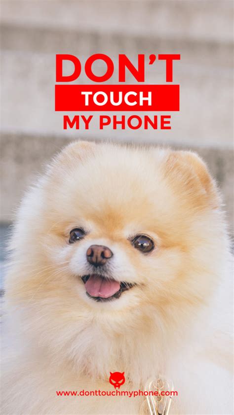 Cute Wallpapers Dont Touch My Phone Donttouchmyphone Lucu Iphones Androids Wallbazar