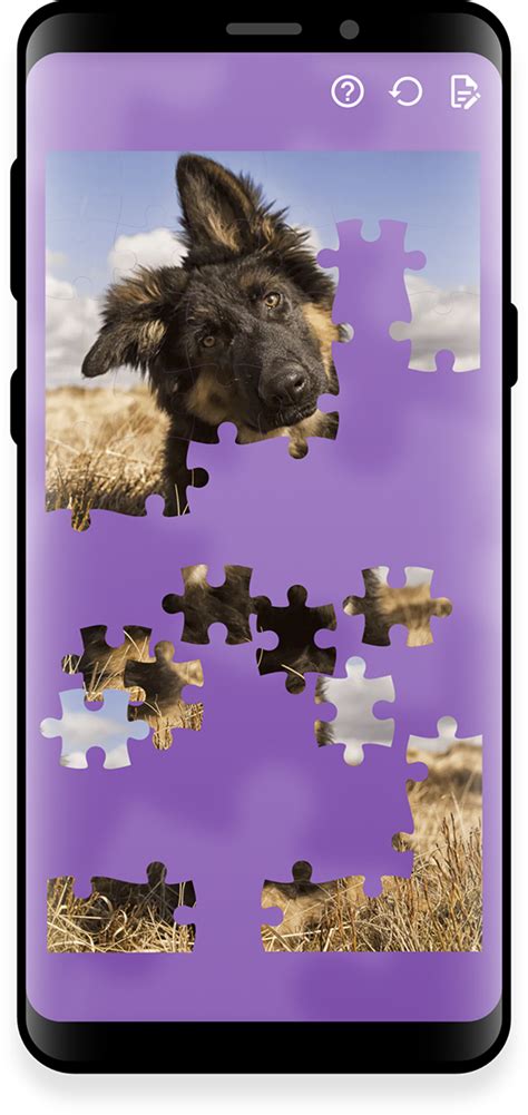 JIGSAW PUZZLES DOGS