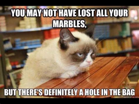 Pin By Pat Andersen On Makes Me Laugh Grumpy Cat Grumpy Cat Humor Humor