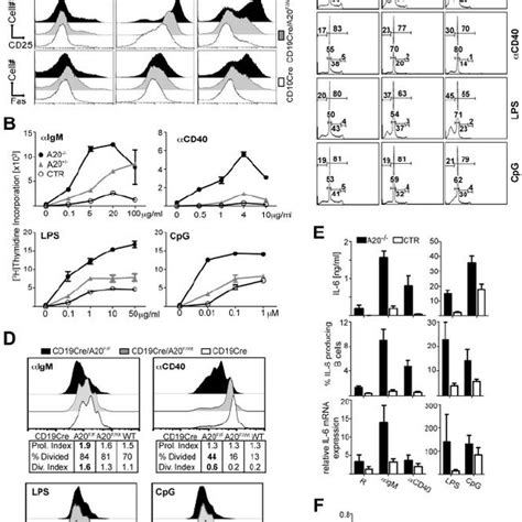A20-deficiency amplifies B-cell responses. (A) Expression levels of the ... 