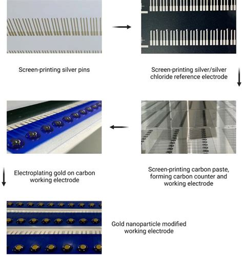 Fig S2 Schematic Diagram Of Preparing Gold Nanoparticle Modified