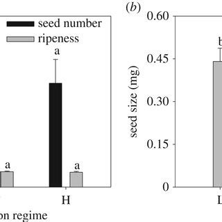 Allometric Relationships Of A Seed Mass Versus Non Seed Mass And B