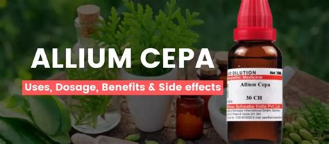 Allium Cepa M Uses Benefits Dosage Side Effects