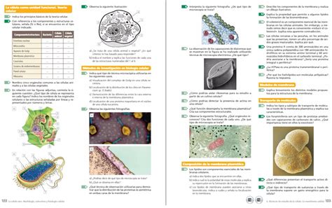 BiologÍa 2º Bachillerato Actividades Membrana Para Examen