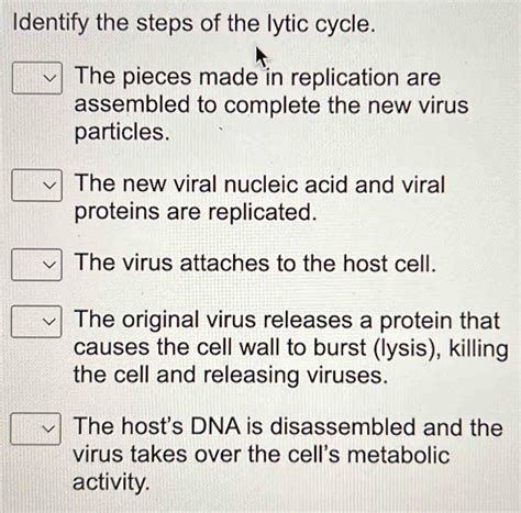 Solved Identify The Steps Of The Lytic Cycle The Pieces Made In