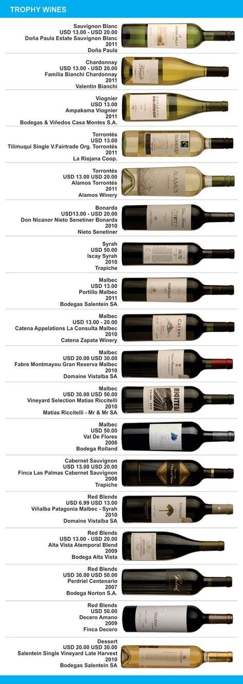 36 Argentina Wine Regions ideas | wine region, argentina, wine