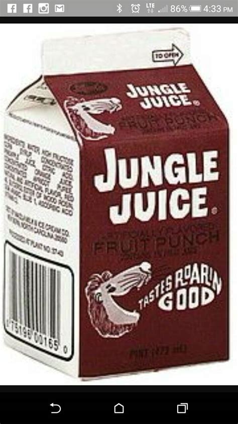 Pin By Shirley Arnold On Retro Do You Remember Jungle Juice Fruit