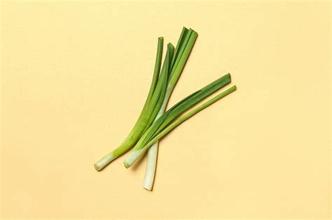Готовка 101: Как сварить вкусный бульон — Wonderzine