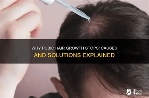 Why Pubic Hair Growth Stops: Causes And Solutions Explained | ShunSalon