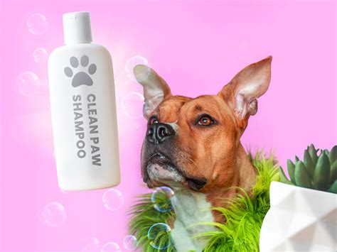 12 Best Dog Shampoos (2022 Reviews & Top Picks) - Dog Leash Pro