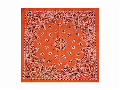 Bright Orange Paisley Bandana William Valentine Collection