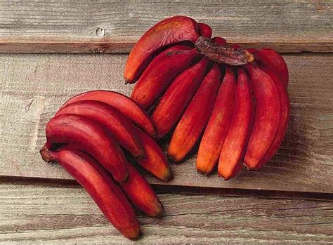 The Surprising Health Benefits Of Red Bananas