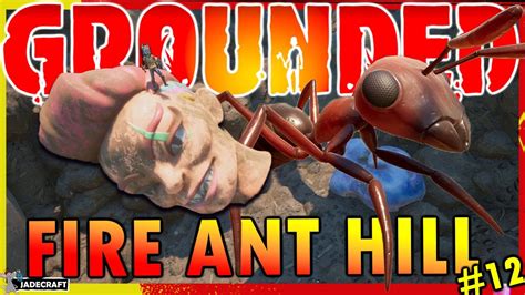 Grounded The Fire Ants Want Me Gone Completing The Fire Ant Hil To