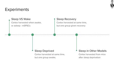 Synaptic homeostasis hypothesis synaptic depression during sleep | PDF 