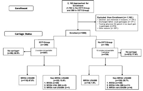 Staphylococcus Flow Chart