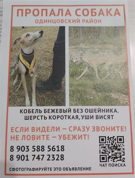 Кубинка Today 2024 | ВКонтакте