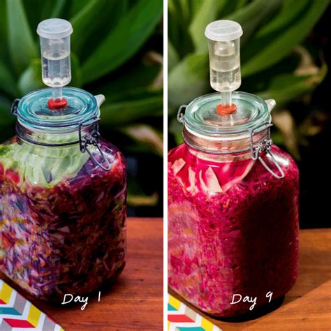 Essentials How To Ferment Your Vegetables Joannafrankham