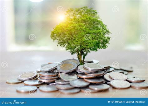 Money Growth Saving Money Upper Tree Coins To Shown Concept Of Growing