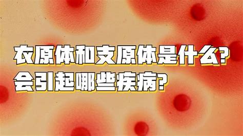 衣原体和支原体是什么？会引起哪些疾病？ 健康视频 搜狐视频