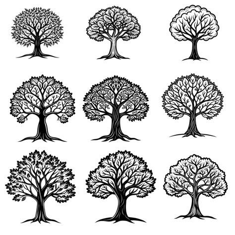 Black Tree Line Art 49694663 Vector Art At Vecteezy