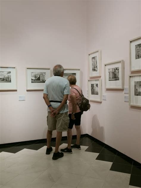 Museo Casa Montejo En El Centro De La Ciudad De M Rida