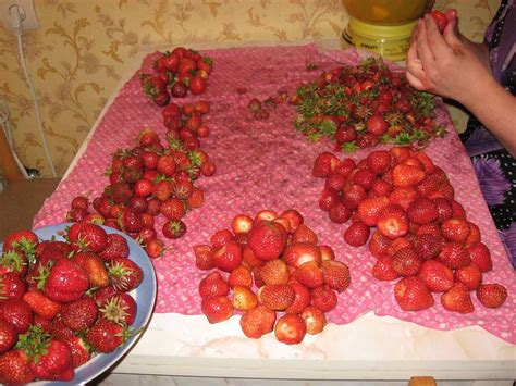 Где купить клубнику Королева Елизавета 2 в Москве? - Guns.ru Talks