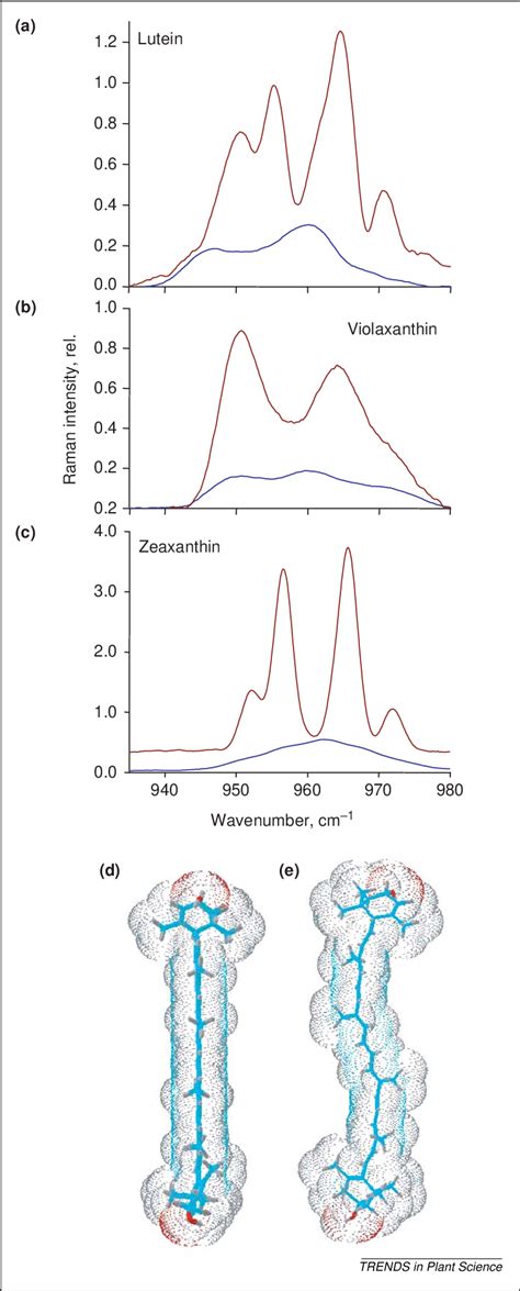 Resonance Raman Spectra Of Relaxed Blue And Distorted Dark Red Download Scientific Diagram