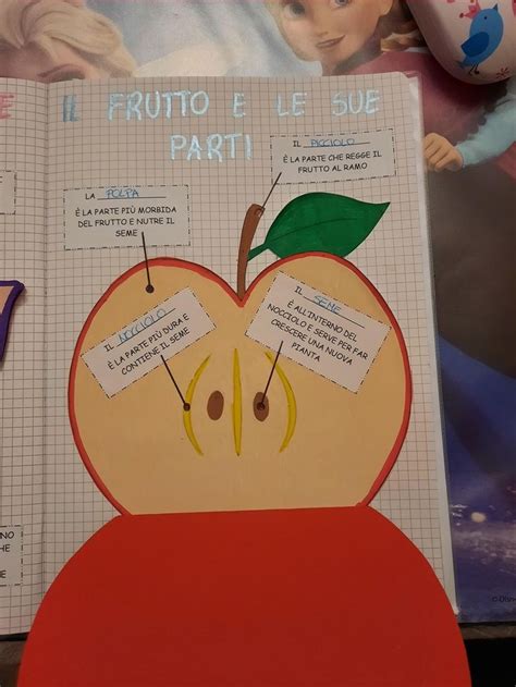 Pin Di Sara Tenore Su Scienze Scienza Natura Le Idee Della Scuola