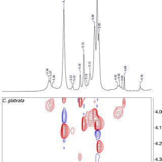 Anomeric Region Of Hsqc Nmr Spectra Of Acido Stable Part Of Mannan From