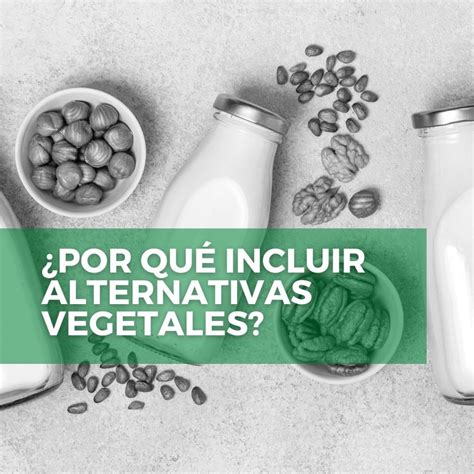 Programa escolar de consumo frutas hortalizas y leche Unión