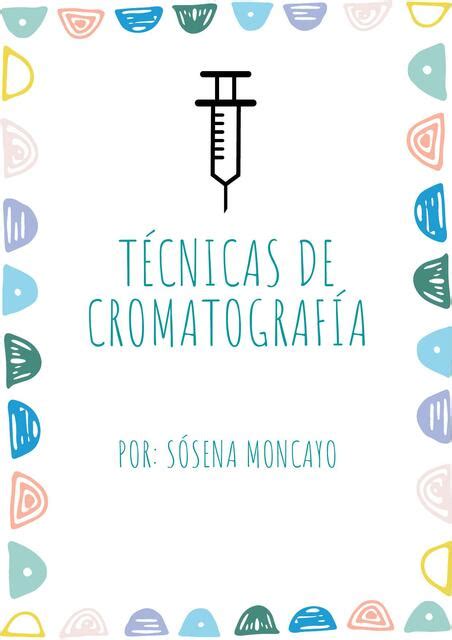 T Cnicas De Cromatograf A Udocz